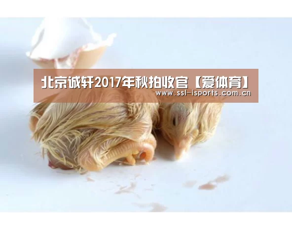 爱体育